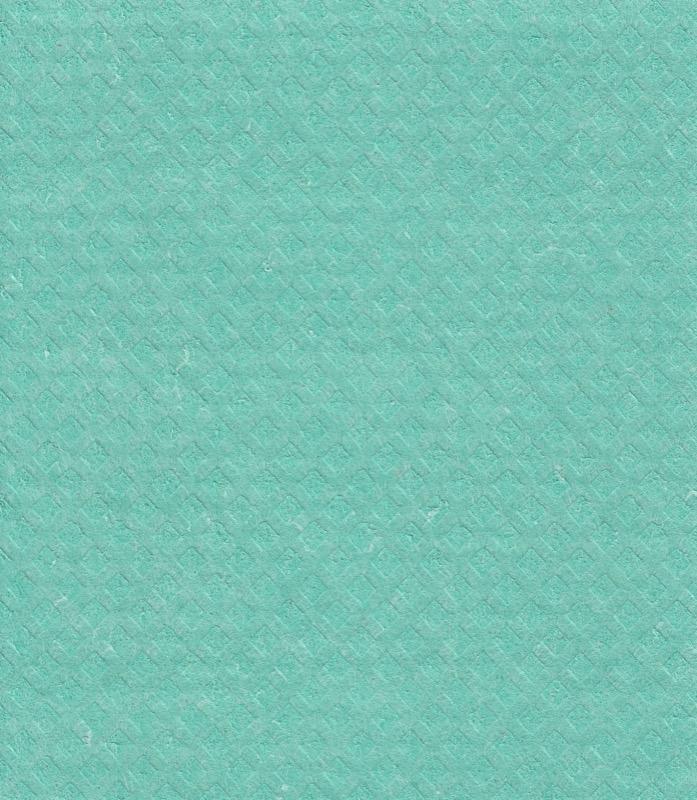 SPGC-12103 - All-Purpose Sponge Cloth - 12" x 10" - Green